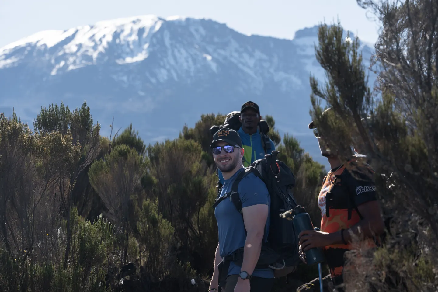 Trekker among giant senecio plants below Kibo peak on Mount Kilimanjaro with Hardest Adventures.