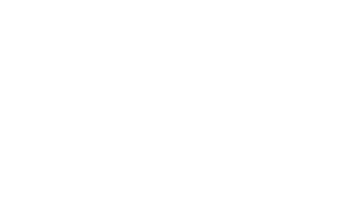 raceslogo
