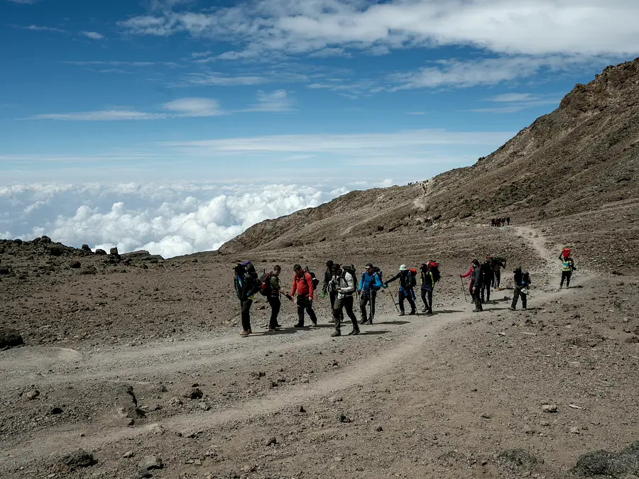 Line of trekkers walking a high Kilimanjaro trail above a sea of cloud