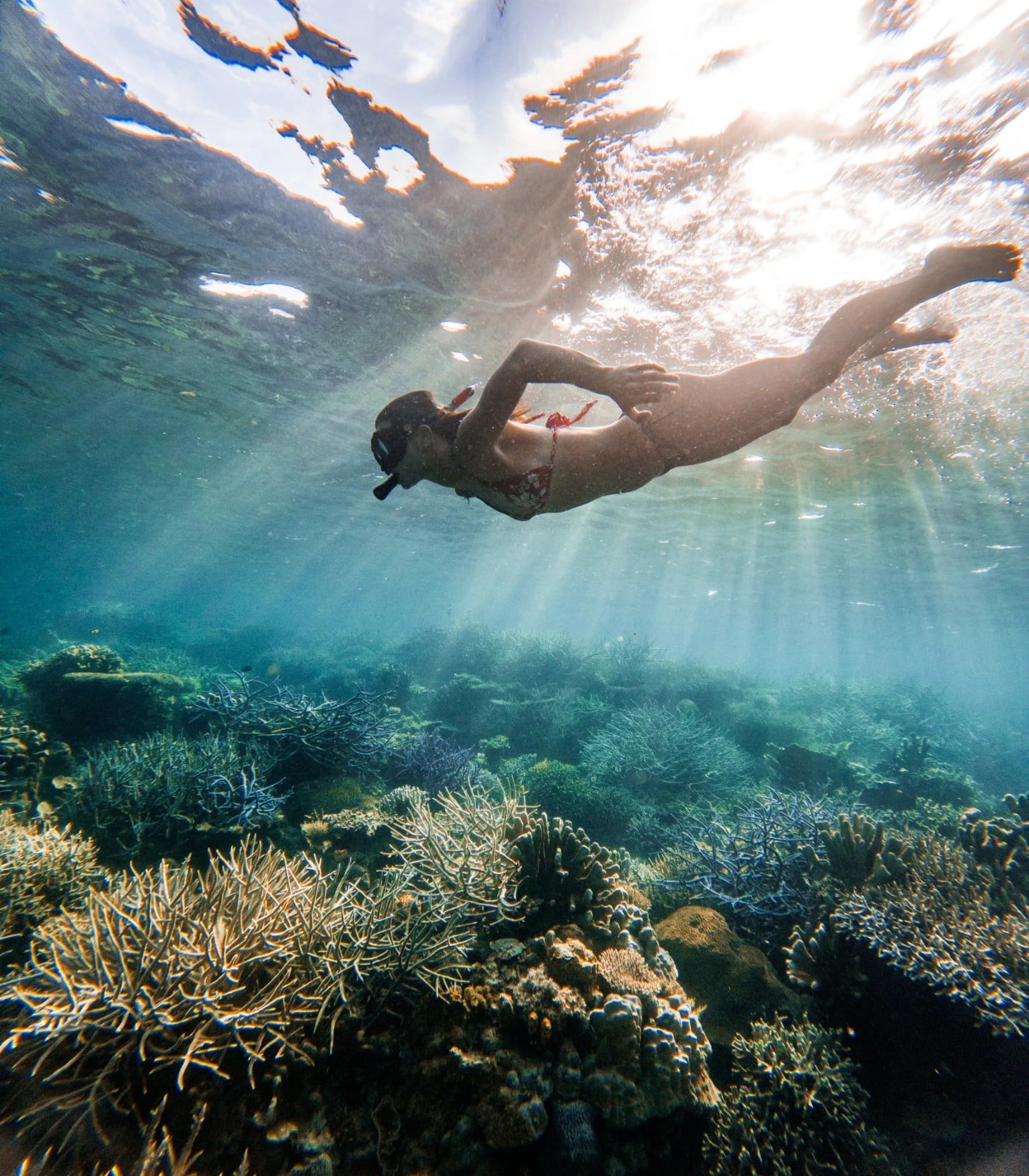 A snorkeler swimming over a coral reef in Palawan with sun rays coming through the water