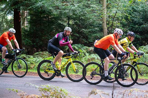 newforesttour202401