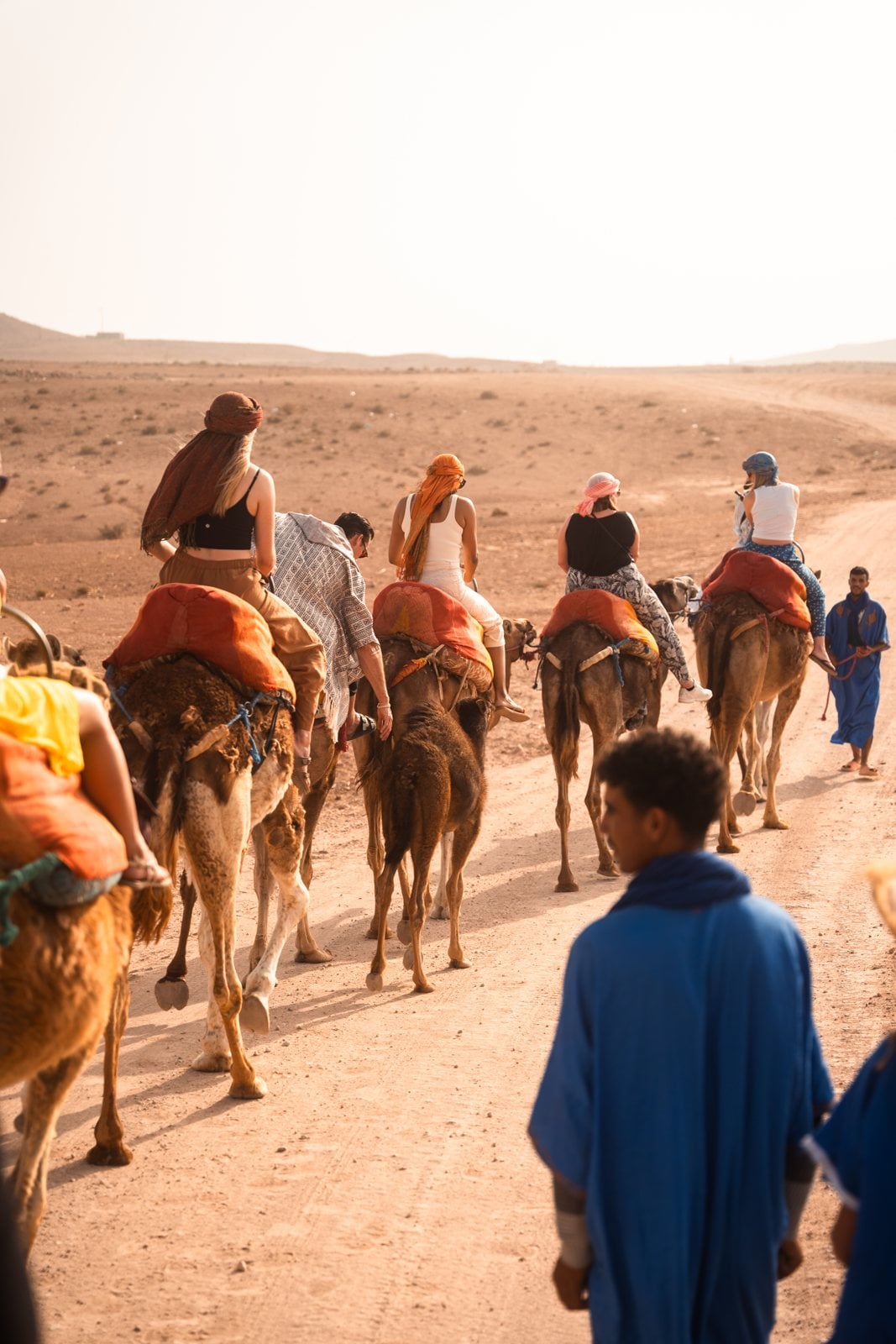 A camel line leaving the desert