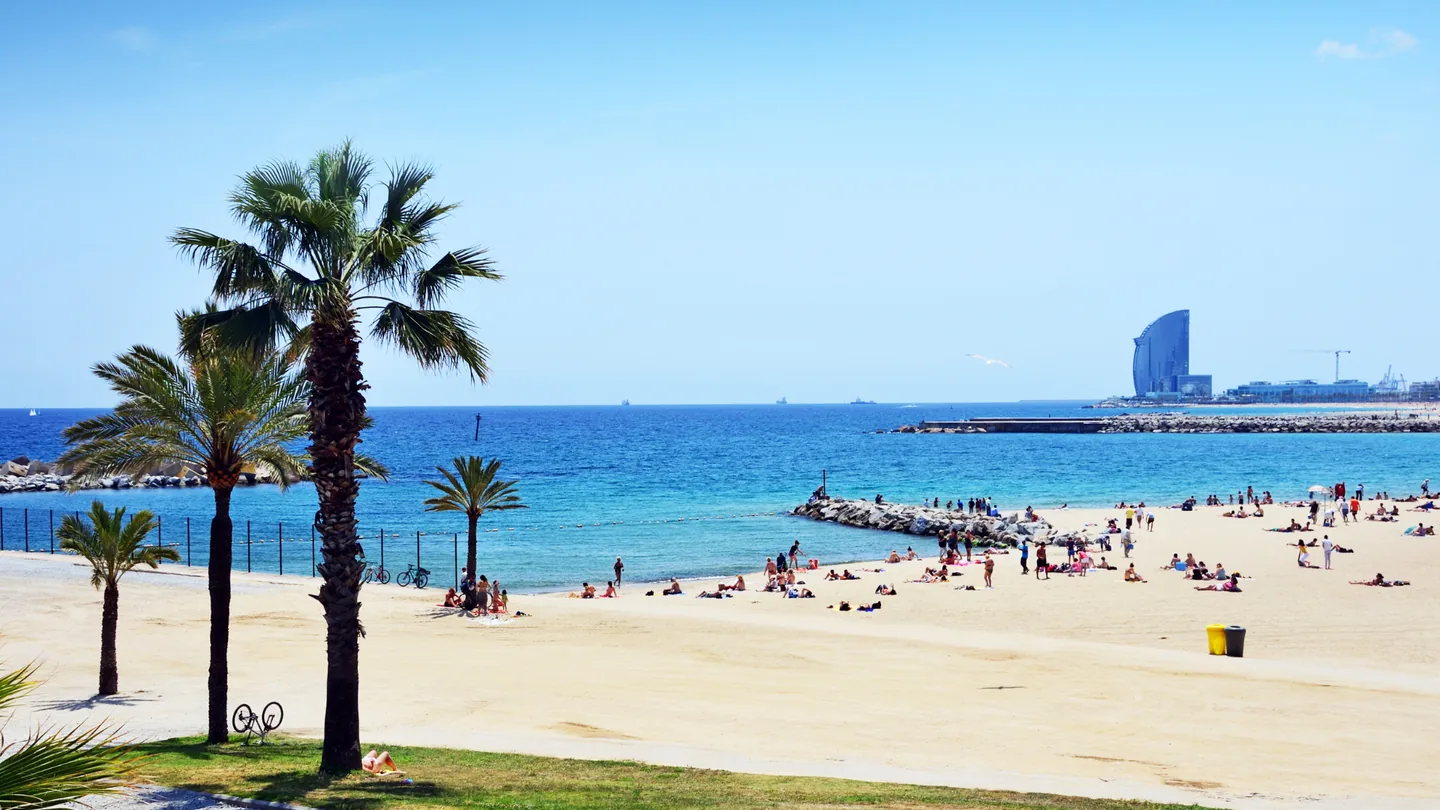 Palm trees overlooking the turquoise sea at Barceloneta beach in Barcelona, with the W Hotel on the horizon.
