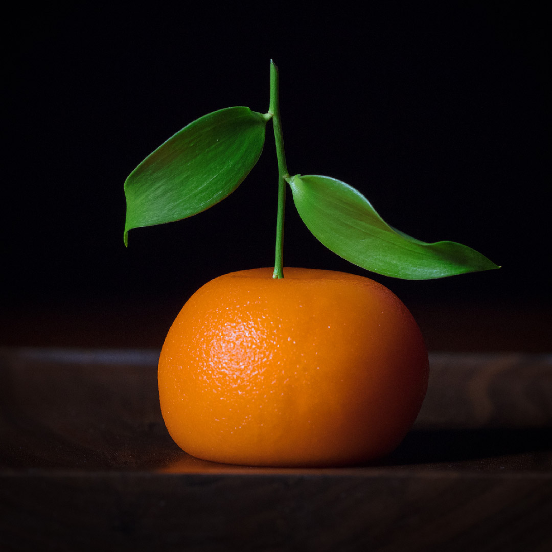 MEATFRUIT01