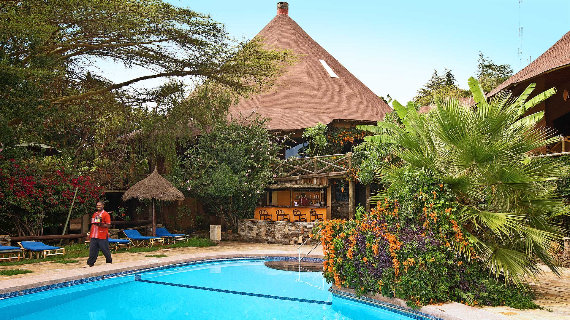 The pool looking over the bush