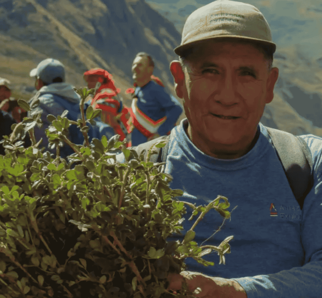 Peruvian man smiling whilst holding plants as he plants trees in the Andes thanks to Hardest Adventures sustainability partnership.