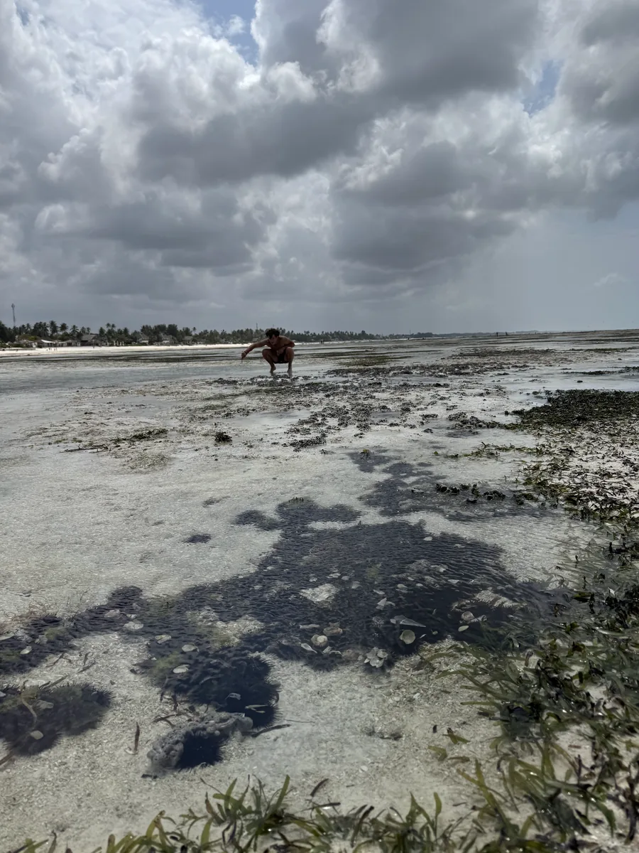 Group beach games on the sand in Zanzibar on the Kilimanjaro extension trip