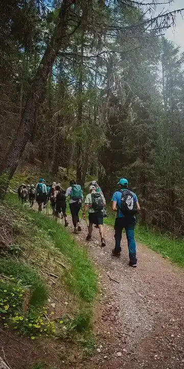 Line of hikers on a forest trail on the SYB Dolomites trip