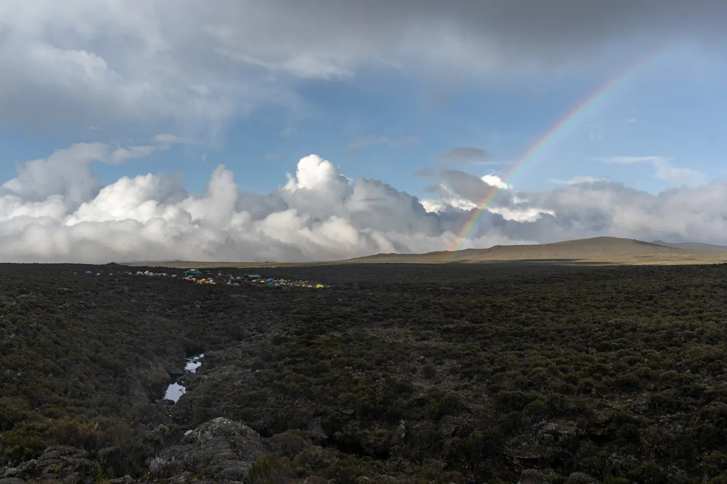 Rainbow arcing over the moorland zone on Mount Kilimanjaro during a Hardest Adventures trek.
