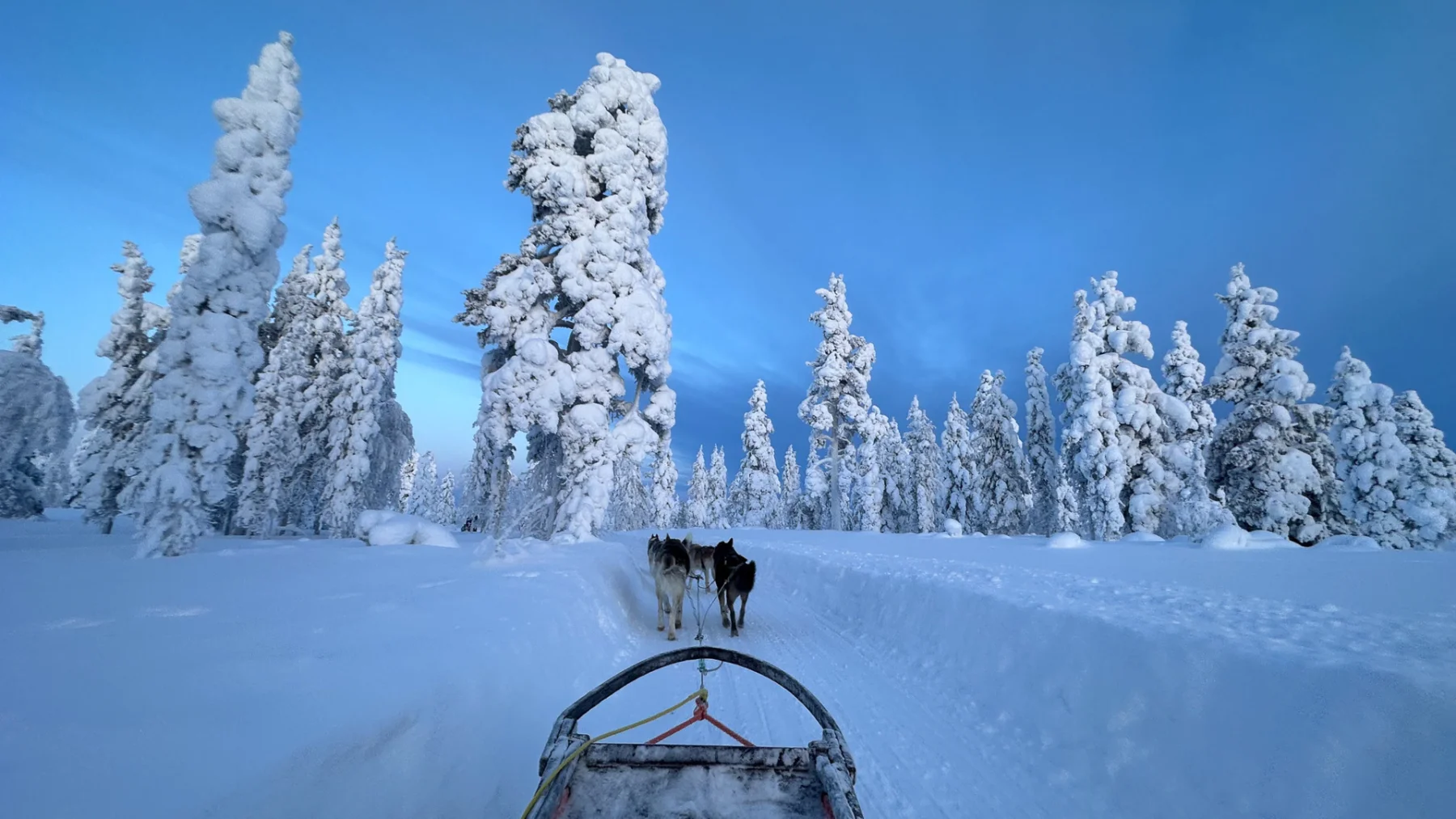 Sunlit fell side in Finnish Lapland