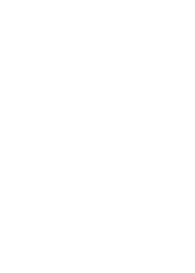 SurfYogaBeer Egypt