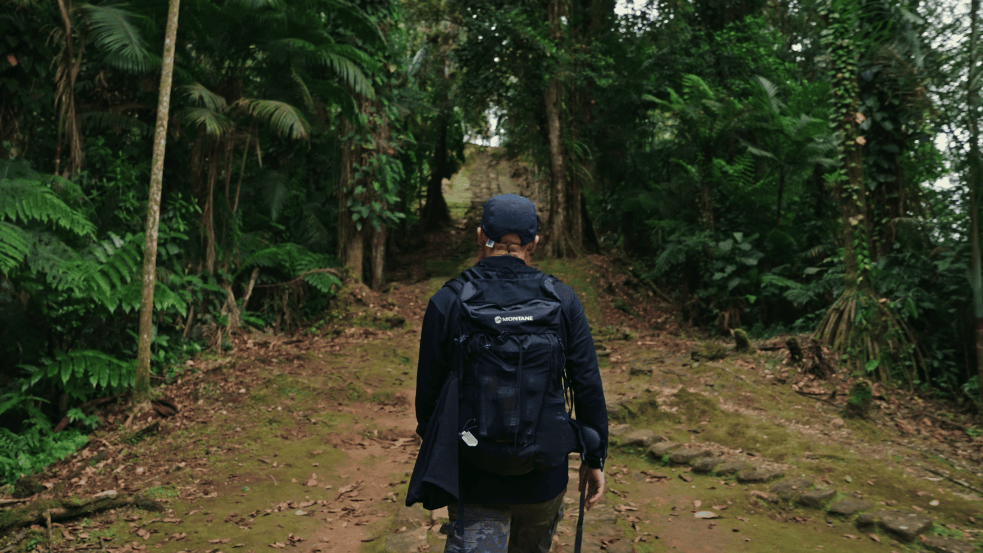 COLOMBIA: THE LOST CITY