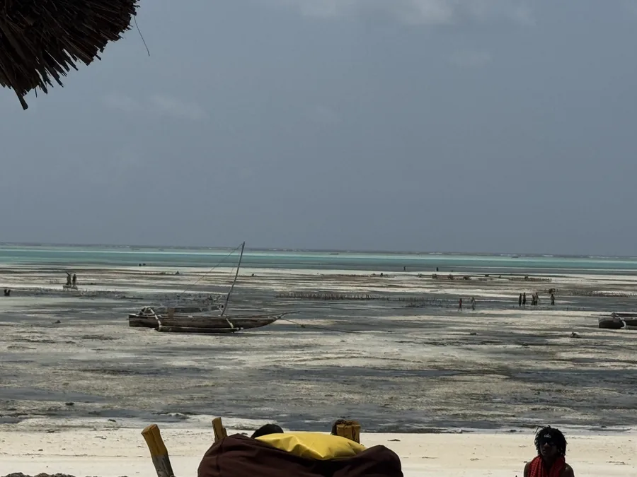 Traditional dhow on a Zanzibar beach at the start of the island escape