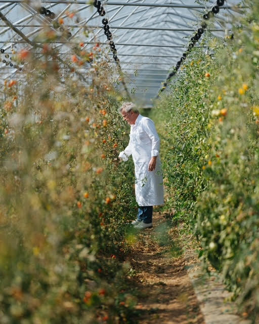 AlainPVeg