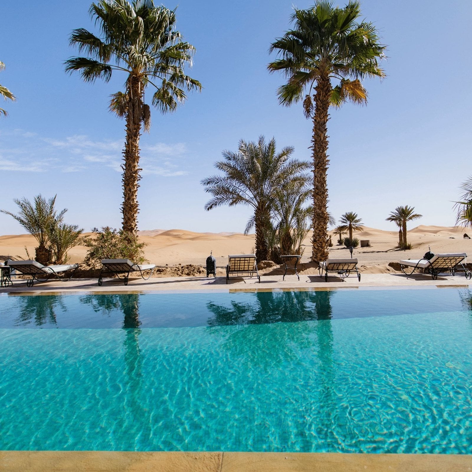 Pool and palm trees at Kanz Erremal