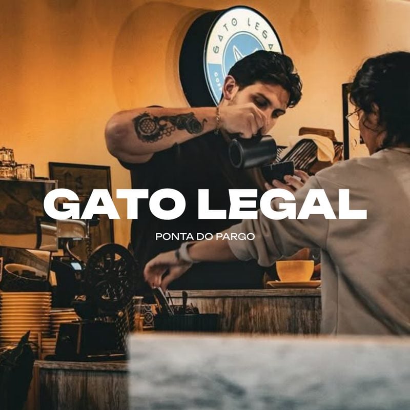 Gato Legal, Ponta do Pargo