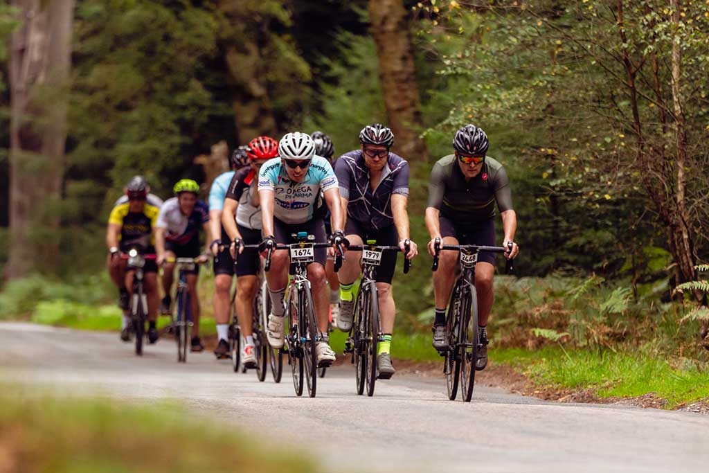 newforesttour202303