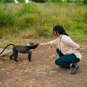 Guest crouching to hold out her hand to a monkey on the SYB Kenya trip