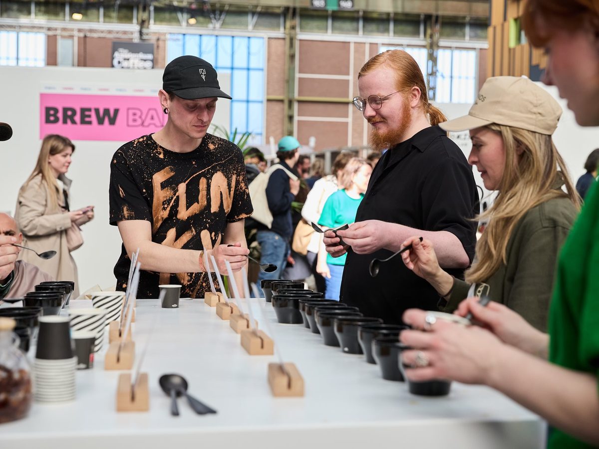 Visitors lean over a long cupping table, tasting coffees with spoons