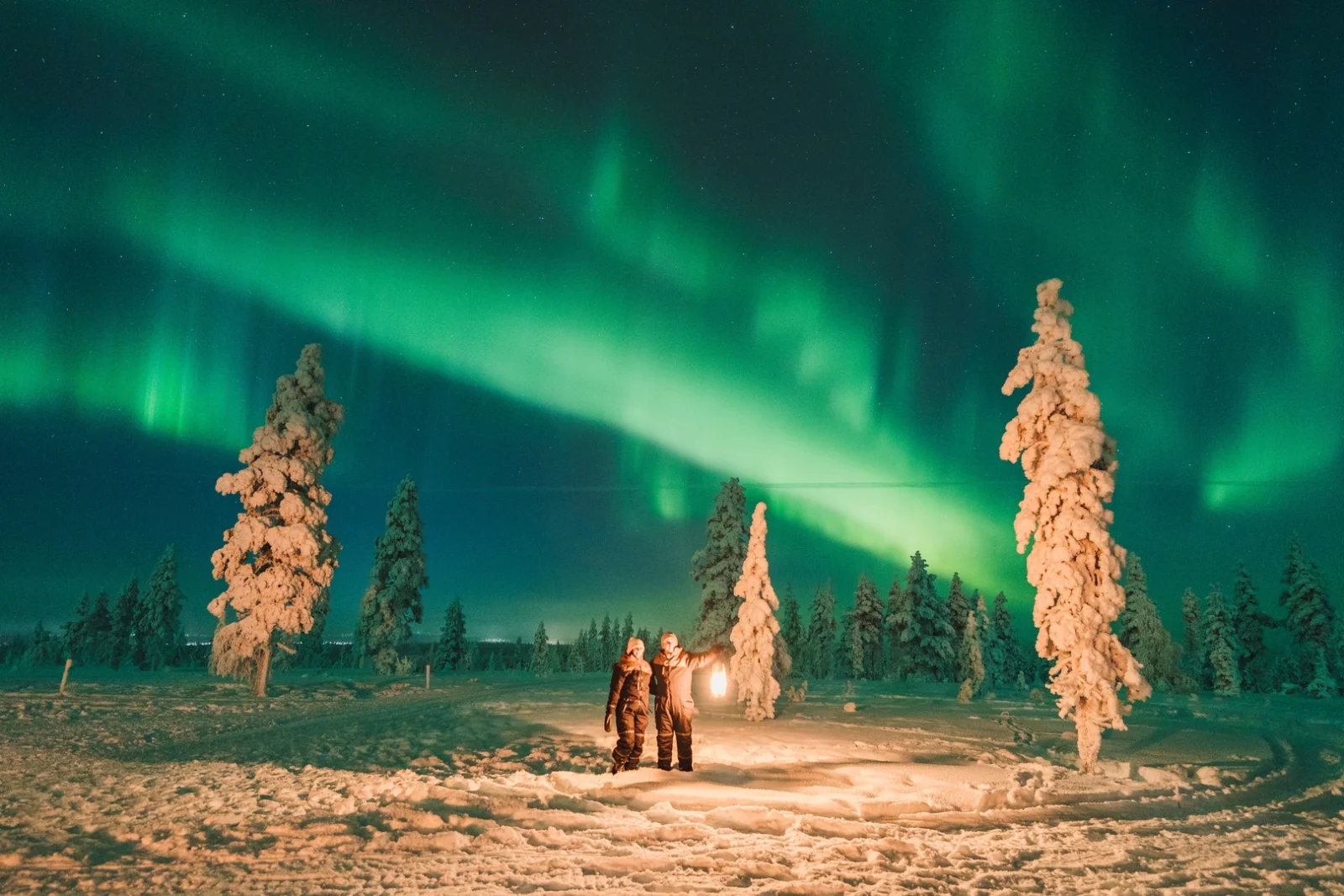 Northern lights tour at night