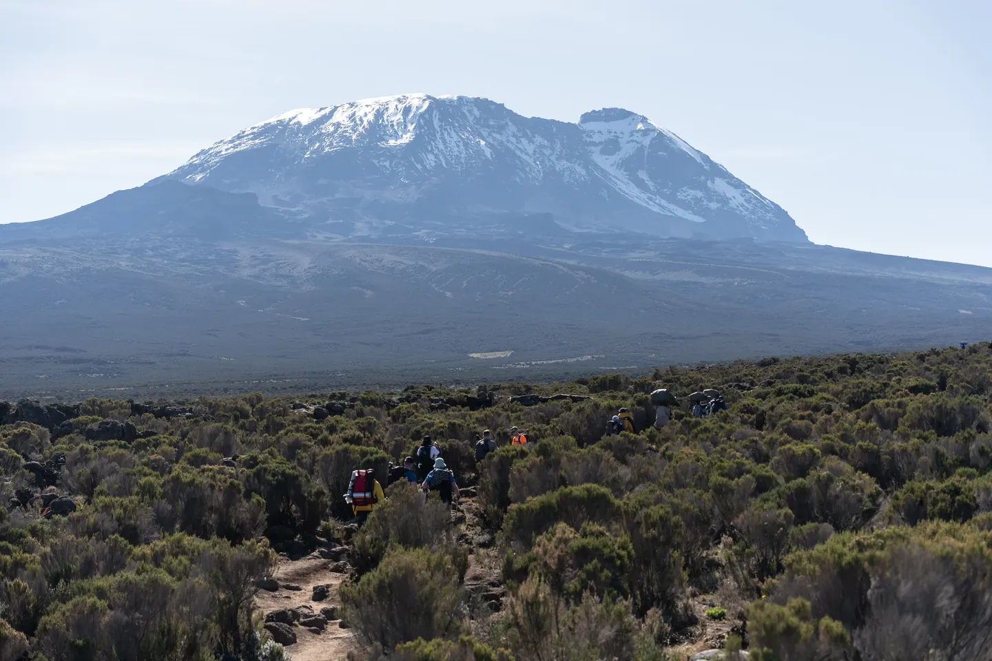 Panorama of the Kibo massif on Mount Kilimanjaro during a Hardest Adventures trek.