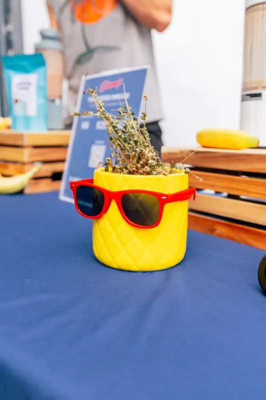 A pineapple in sunglasses holding down the snack table