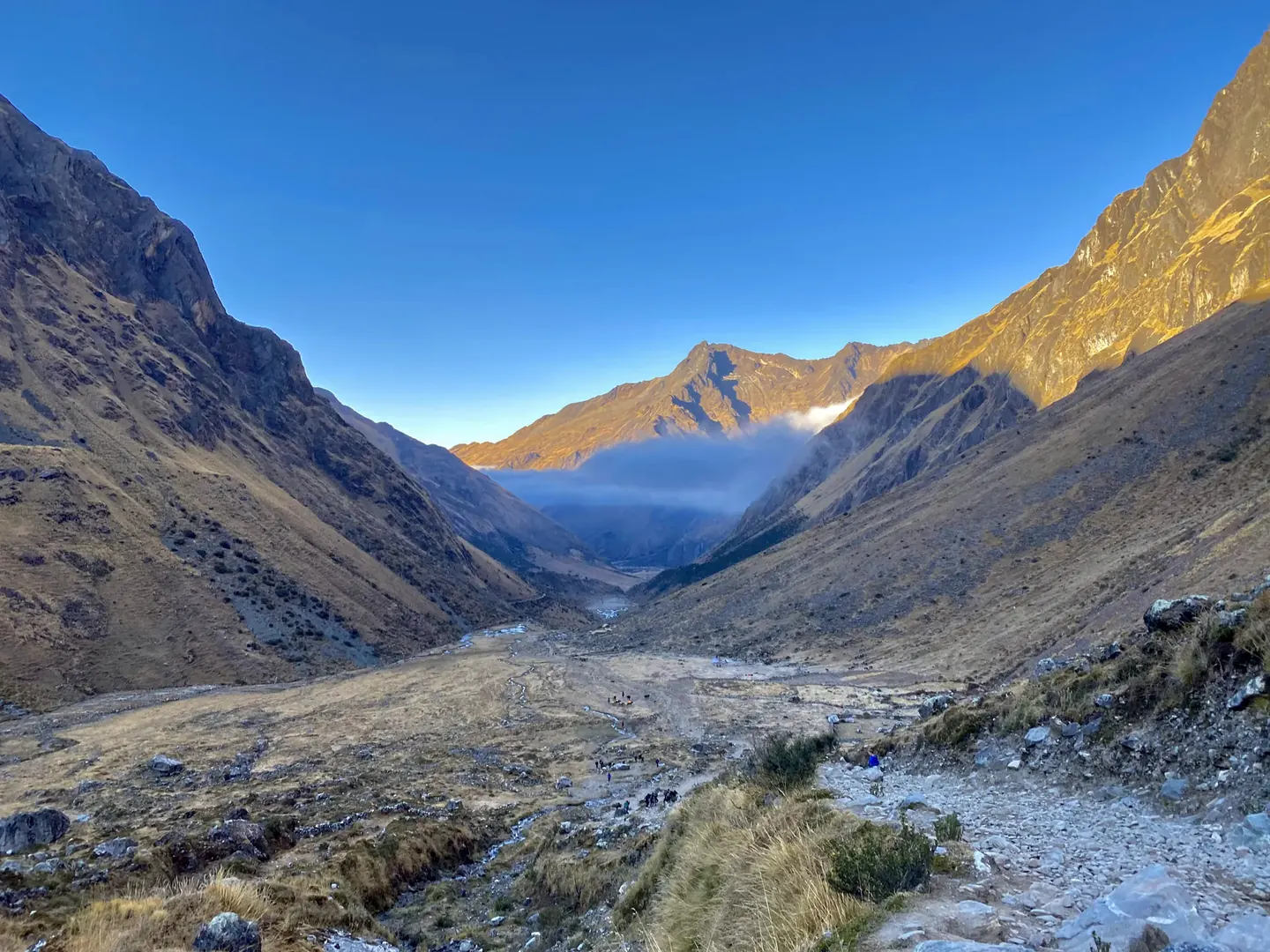 Hiker on a golden valley trail in the Peruvian Andes on the Salkantay route to Machu Picchu with Hardest Adventures.