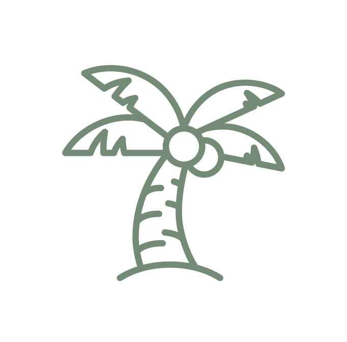 Palm tree