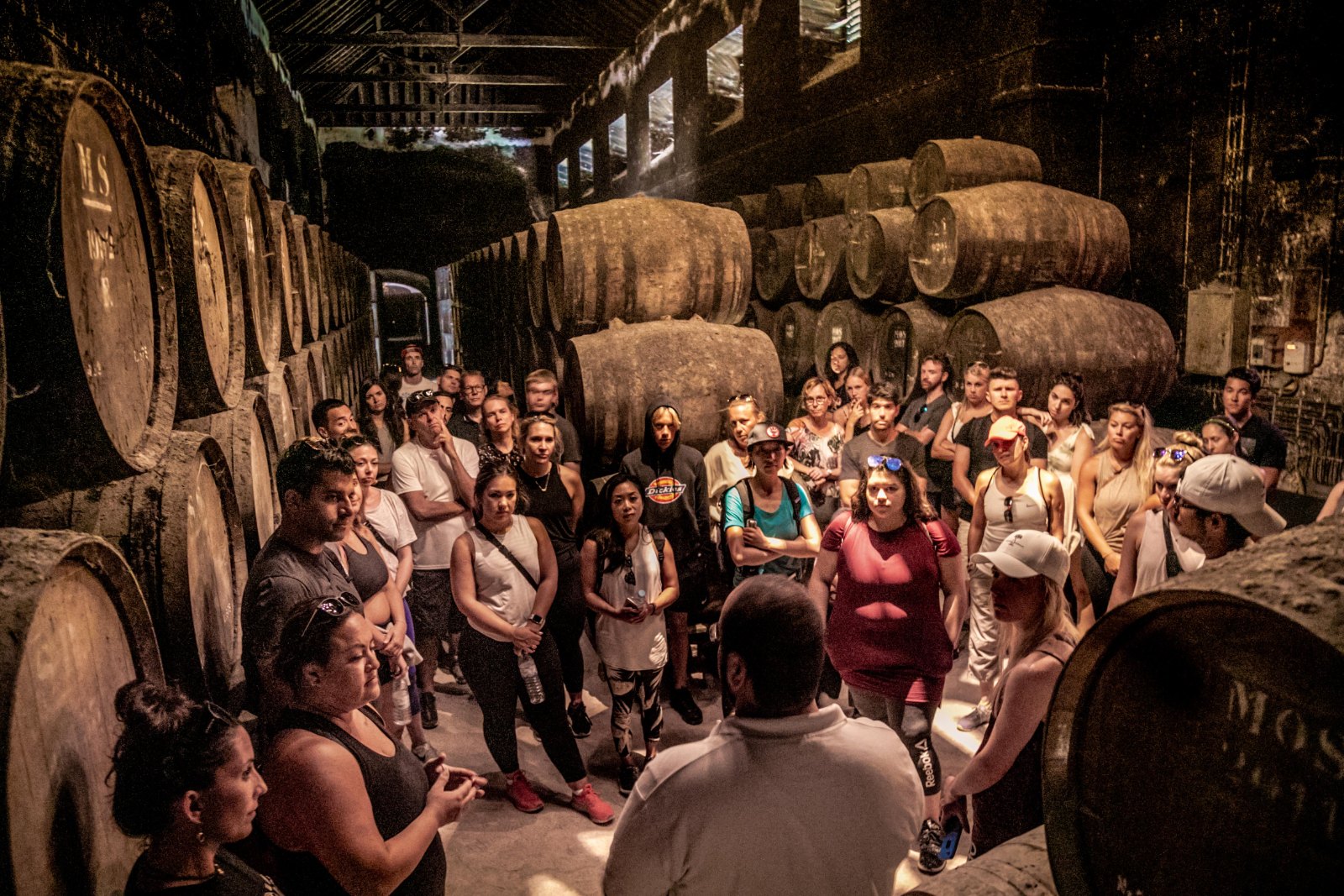 The crew inside the Bacalhoa wine cellar