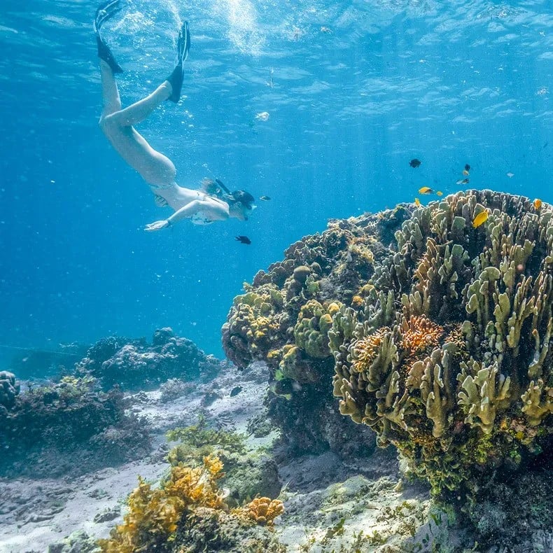 A freediver swimming down to a coral reef in clear blue water in Palawan