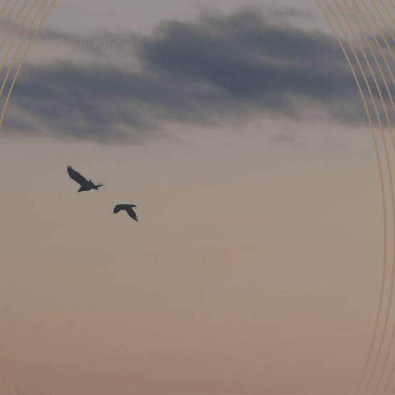 Description of image