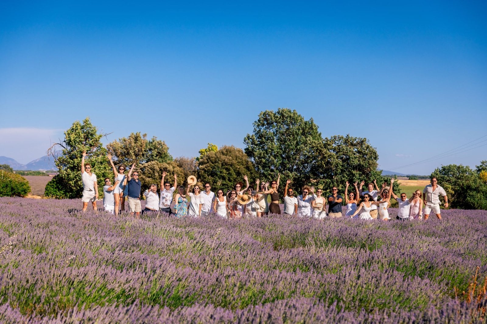 The SurfYogaBeer crew in a Provence lavender field