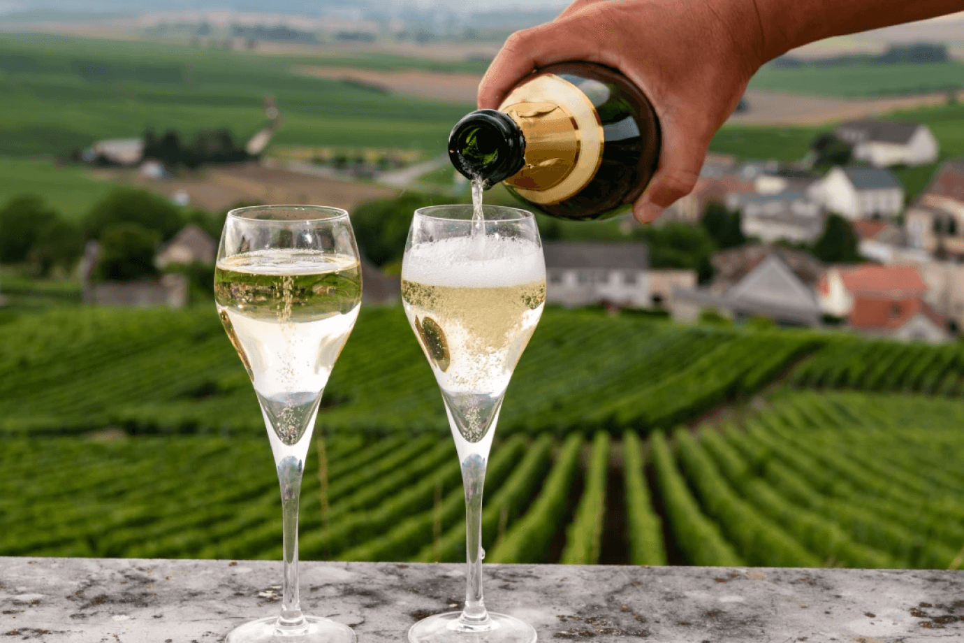 champagnearrival1