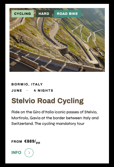 guided Stelvio cycling tour