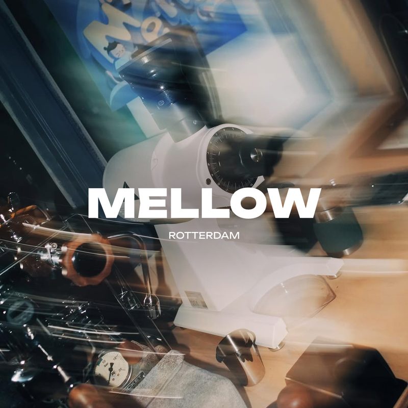 Mellow, Rotterdam