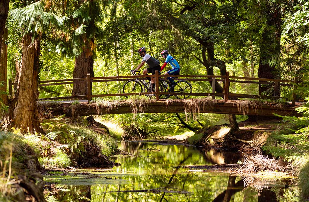 newforesttour2022_01