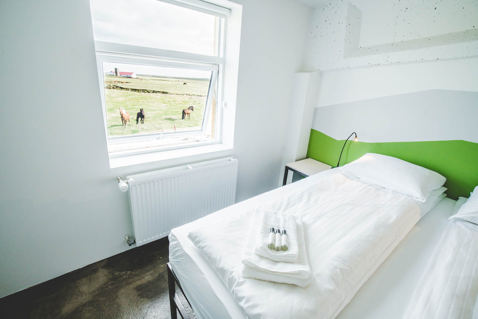 A room at Midgard with Icelandic horses outside the window