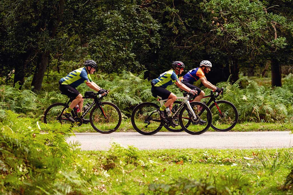 newforesttour202301