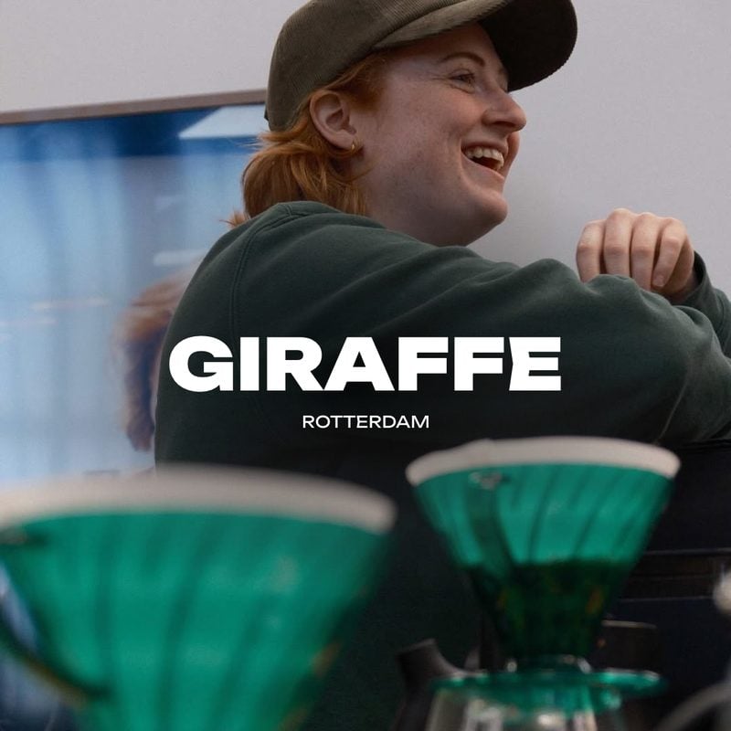 Giraffe, Rotterdam