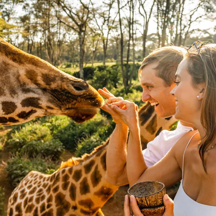 Two friends laughing while a giraffe eats from their hands on the SYB Kenya trip