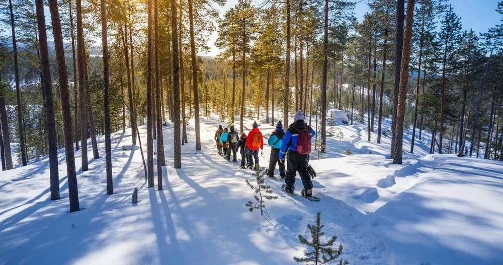 Snowshoe walk through sunlit forest