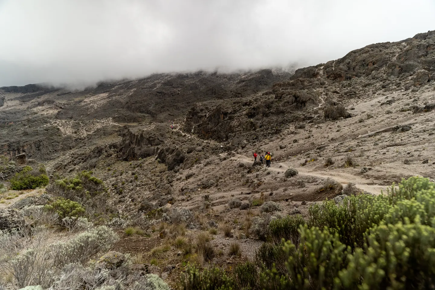 Porters and trekkers celebrating together at camp on the Mount Kilimanjaro climb with Hardest Adventures.