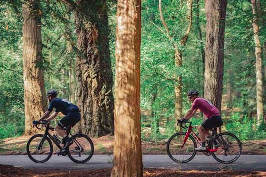 newforesttour2021sat