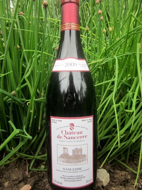 2009 Château de Sancerre Rouge
