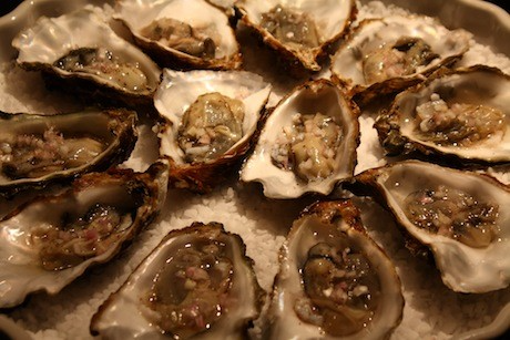 Oysters
