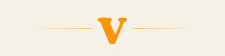 V_icon