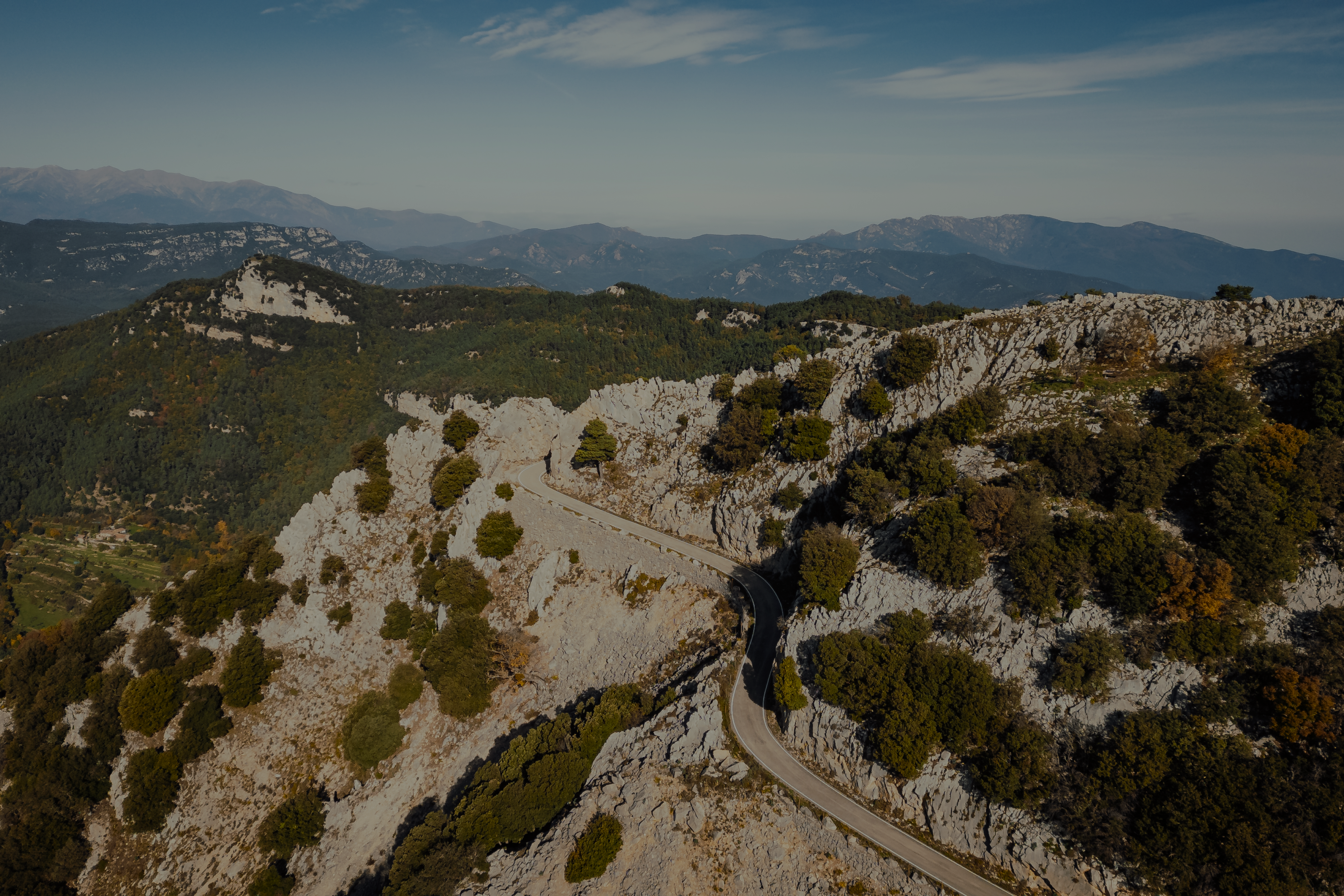 DJI_0461