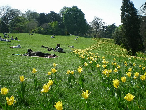 Springtime in the Parc des Buttes Chaumont in Paris