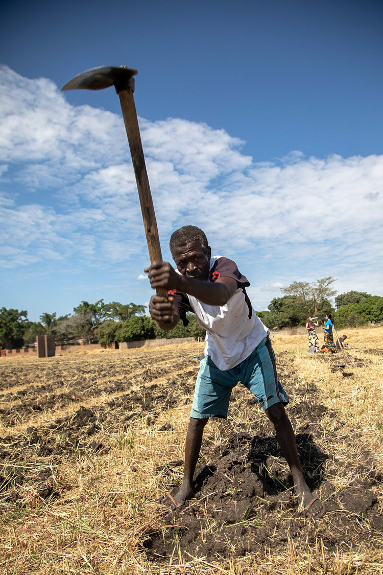 The fields in 2018 as we launched the Agricultural project at Malawi Impact