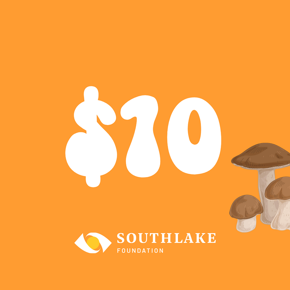 $10 donation to Southlake Mental Health Foundation